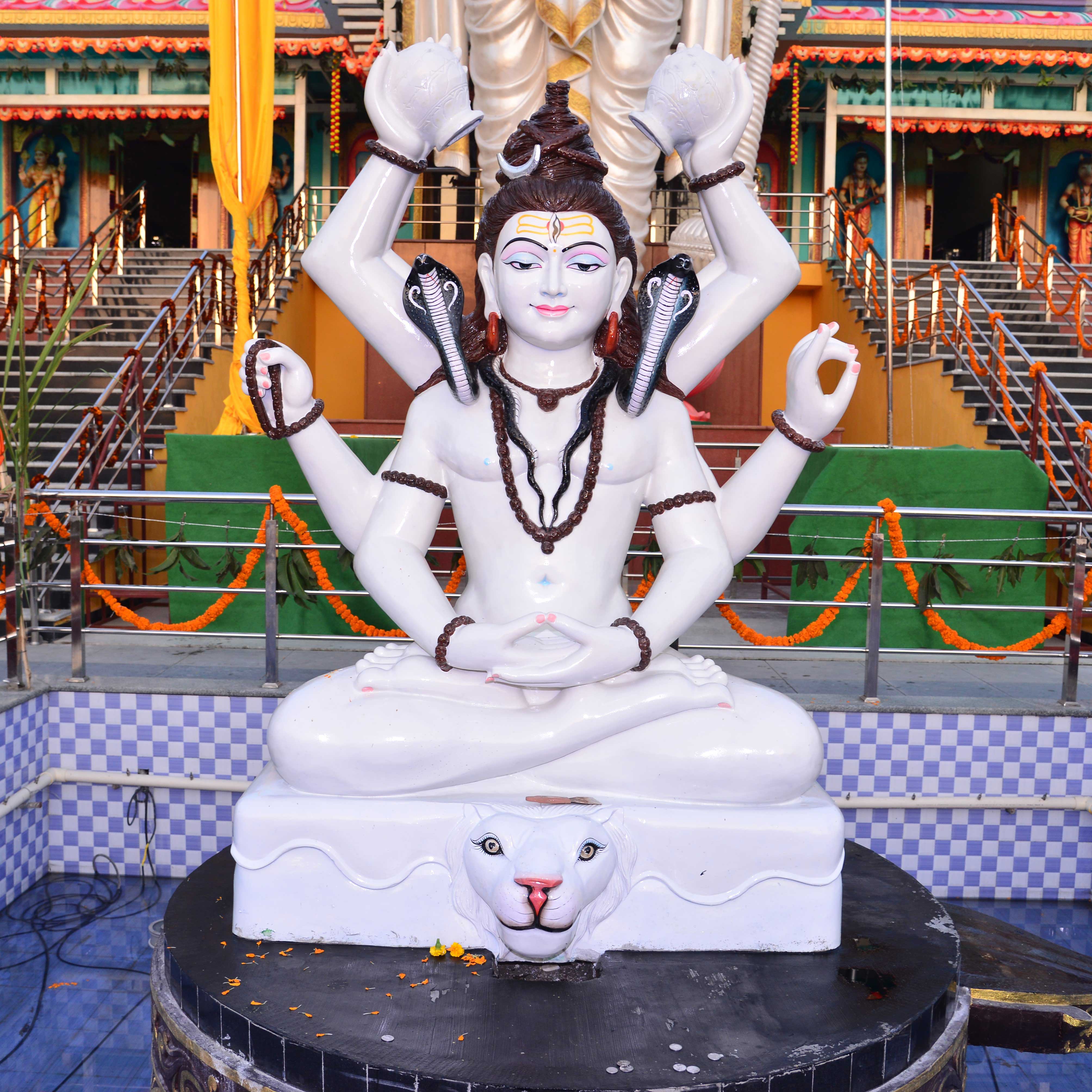 Donations for Annadanam